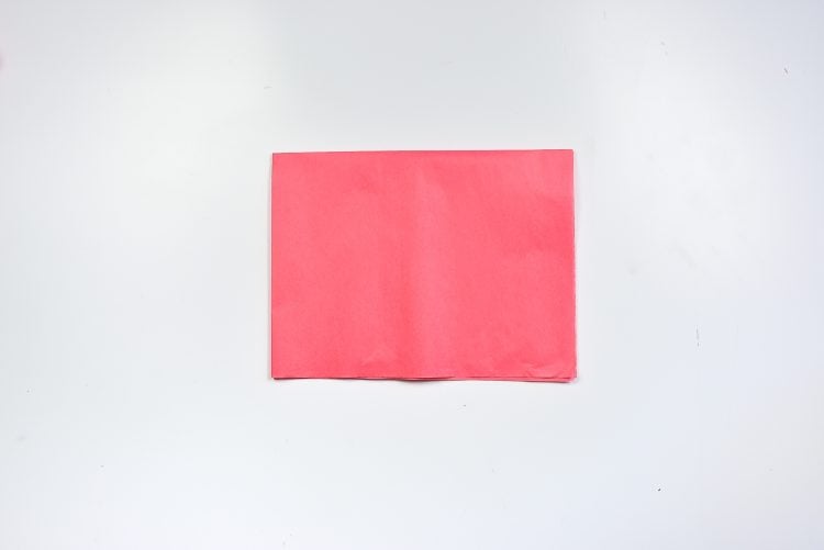 How to Make Tissue Paper Flowers: Fold tissue paper in half again