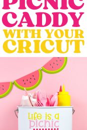 Cricut Picnic Caddy Pin Image